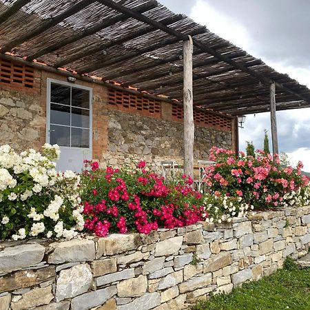 Tregole Διαμέρισμα Castellina in Chianti Εξωτερικό φωτογραφία