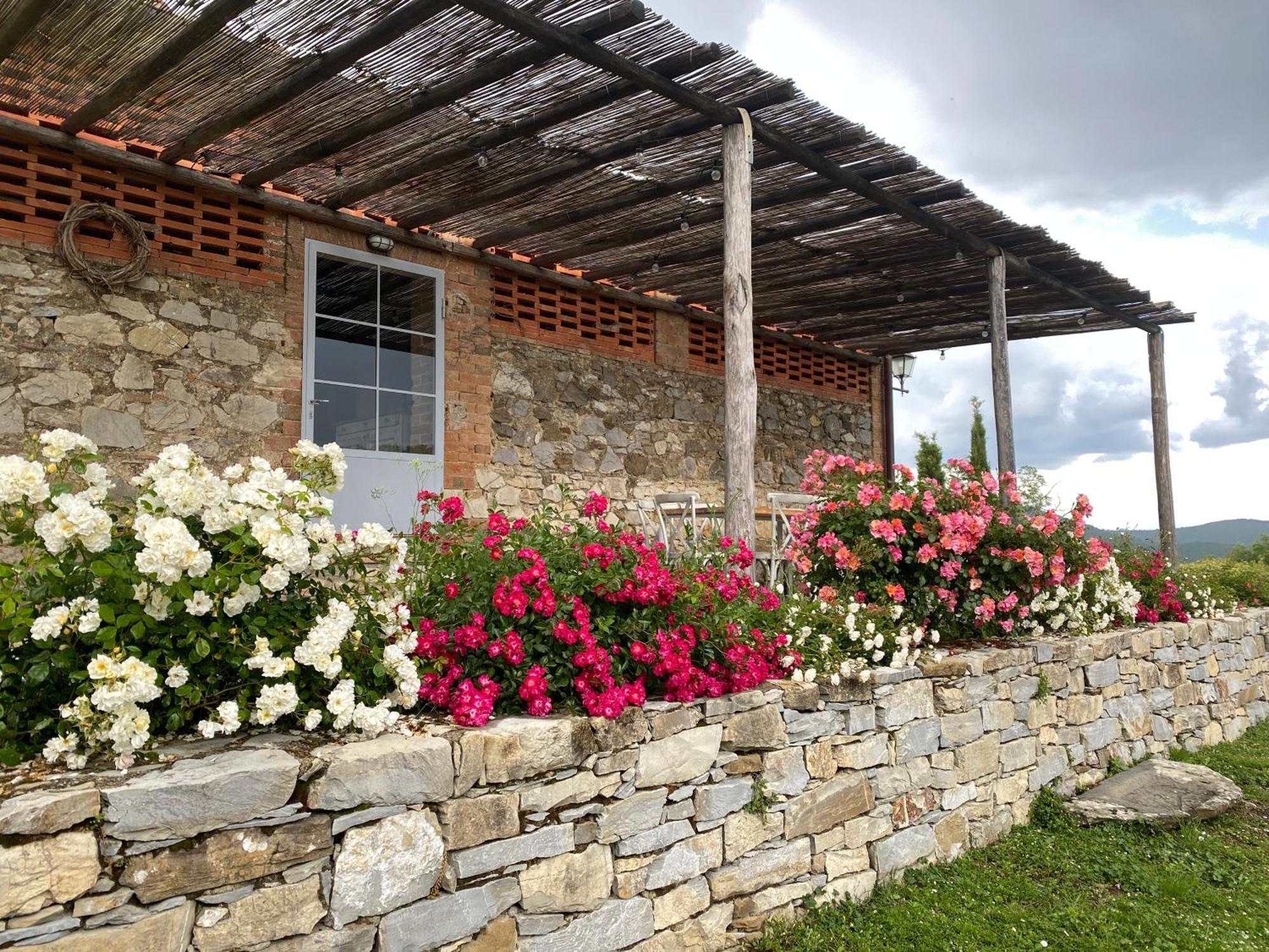 Tregole Διαμέρισμα Castellina in Chianti Εξωτερικό φωτογραφία